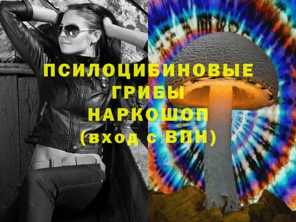 прущие крисы Зеленокумск