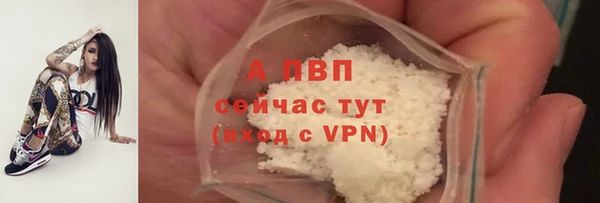 прущие крисы Зеленокумск