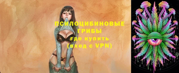 прущие крисы Зеленокумск